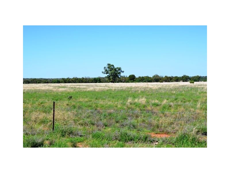 * Hudsons, Nymagee, Cobar NSW 2835