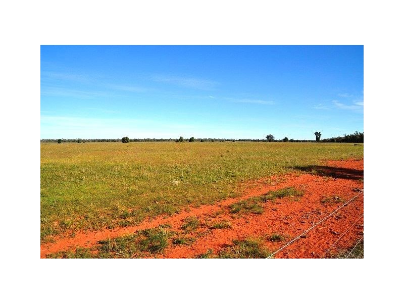 * Miradong, Nyngan NSW 2825