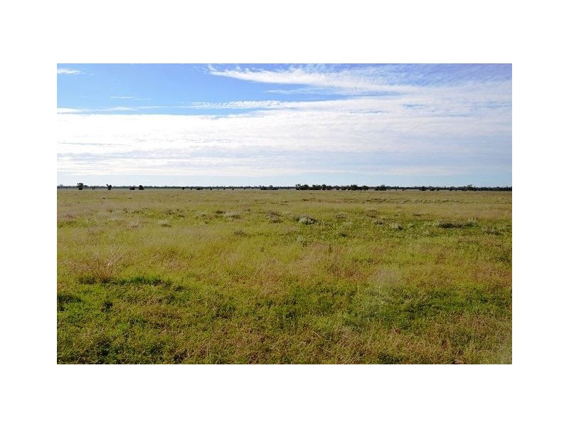 * Miradong, Nyngan NSW 2825