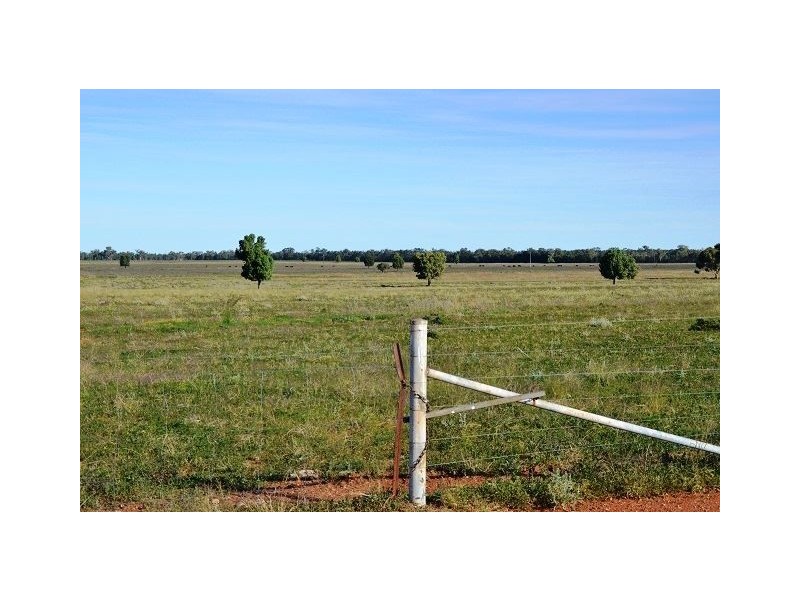 * Miradong, Nyngan NSW 2825