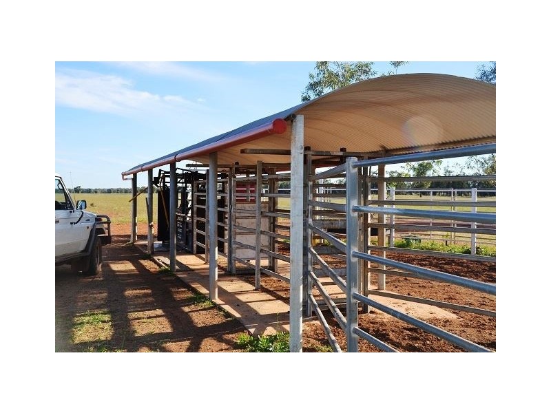 * Miradong, Nyngan NSW 2825