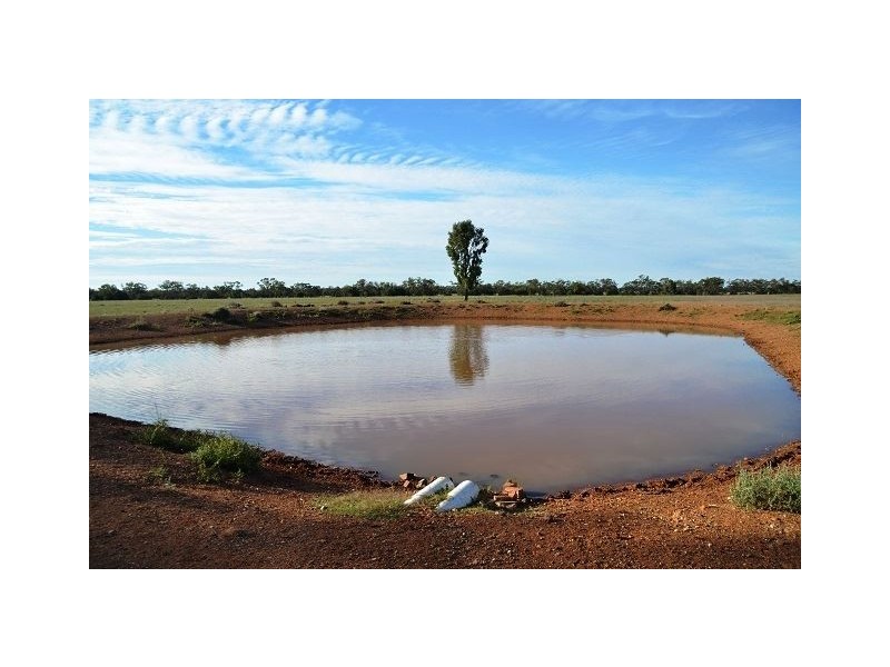 * Miradong, Nyngan NSW 2825