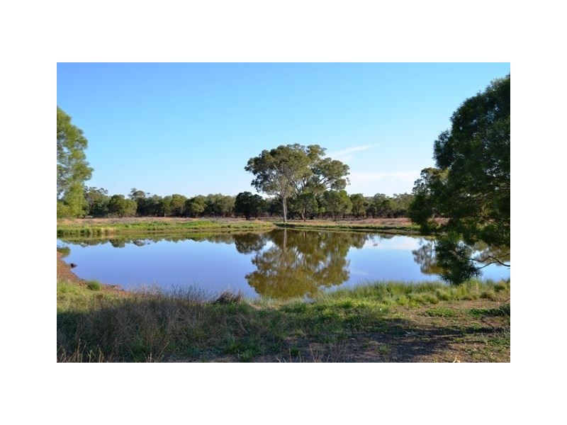 * Eltrune, Nyngan NSW 2825