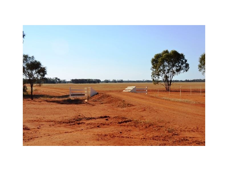 * Eltrune, Nyngan NSW 2825