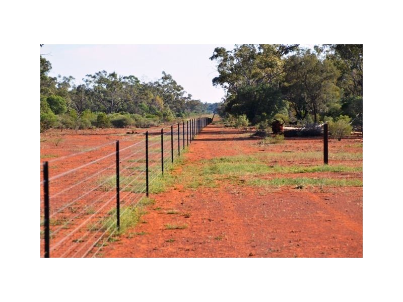 * Eltrune, Nyngan NSW 2825