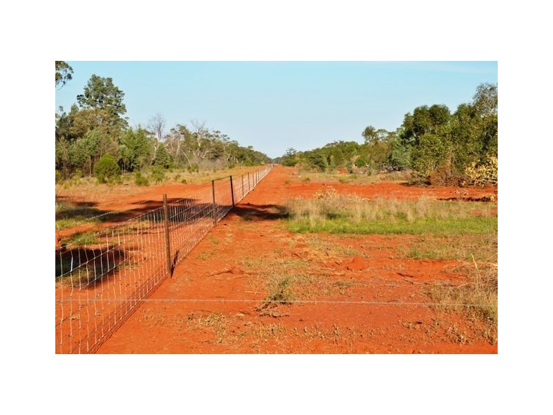 * Eltrune, Nyngan NSW 2825