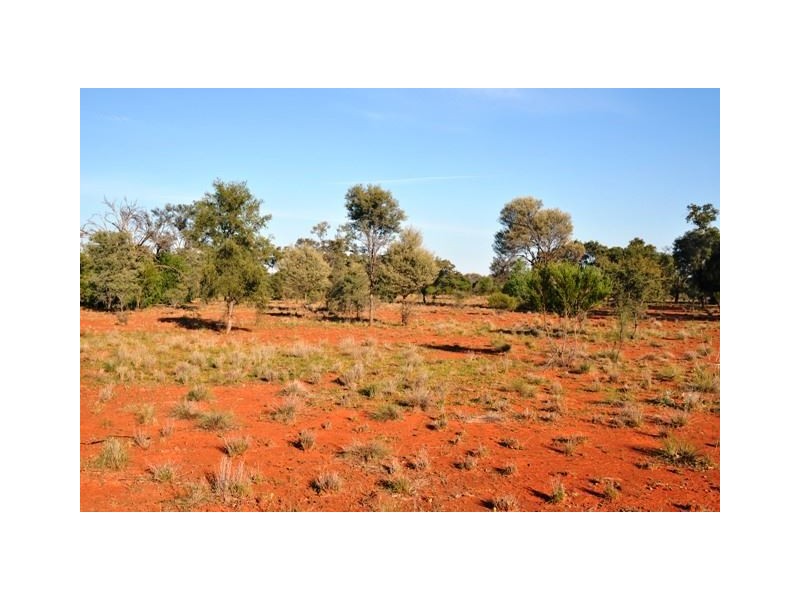 * Eltrune, Nyngan NSW 2825