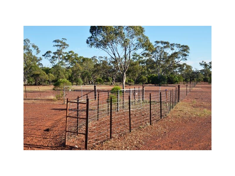 * Eltrune, Nyngan NSW 2825