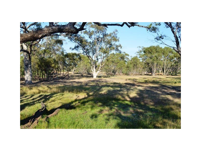 * Eltrune, Nyngan NSW 2825