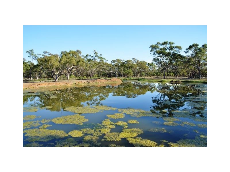 * Eltrune, Nyngan NSW 2825