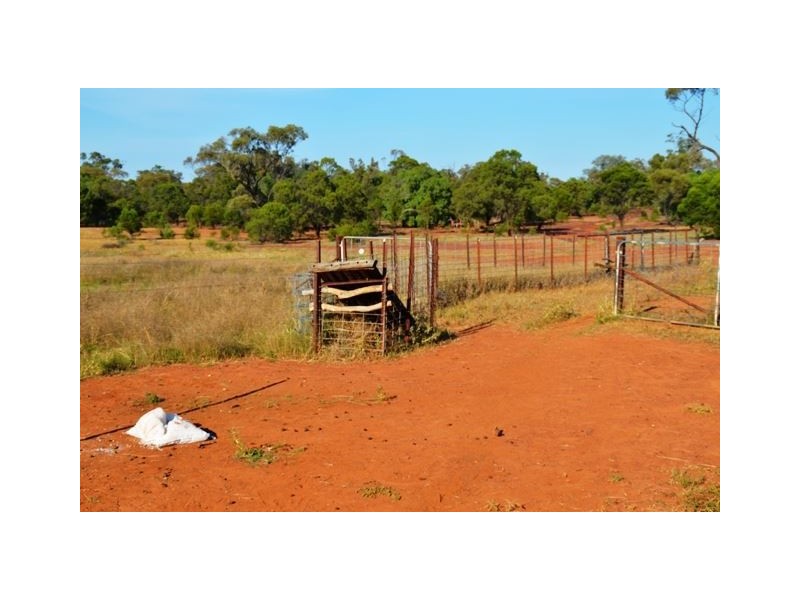 * Eltrune, Nyngan NSW 2825