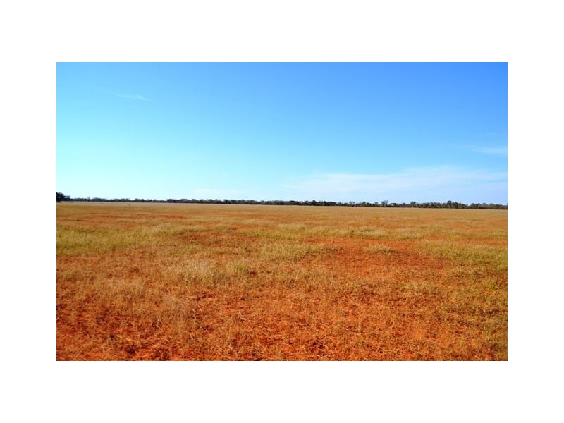 * Eltrune, Nyngan NSW 2825