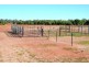 * Lansdowne, Cobar NSW 2835