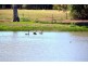 * Lansdowne, Cobar NSW 2835