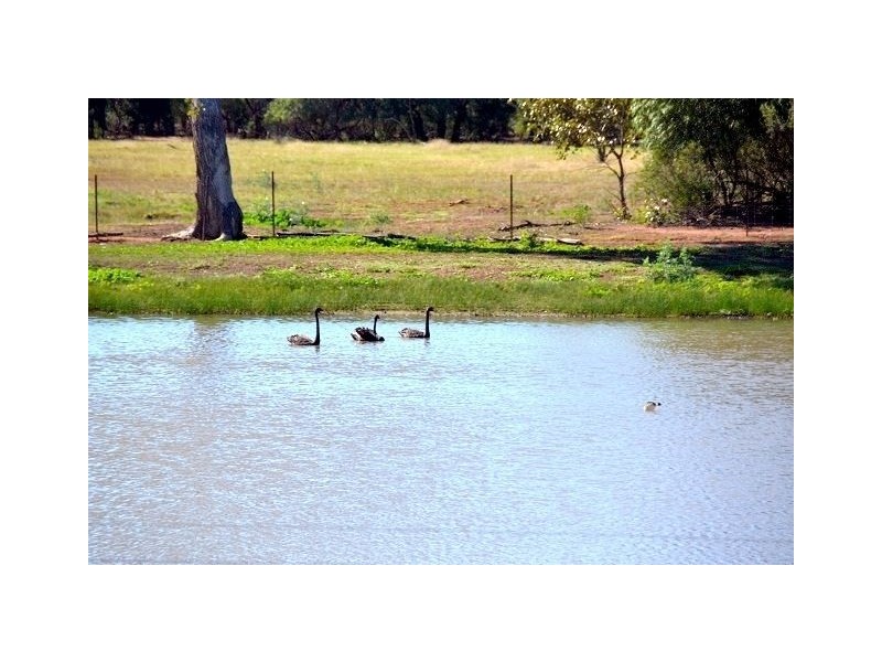 * Lansdowne, Cobar NSW 2835