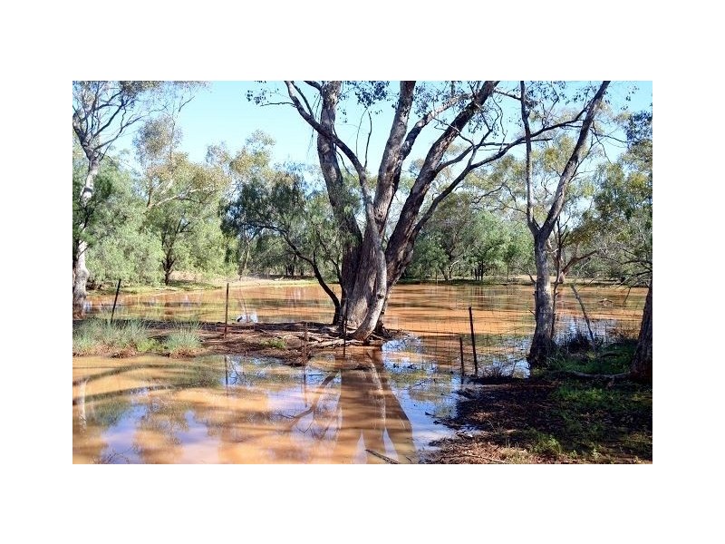 * Lansdowne, Cobar NSW 2835