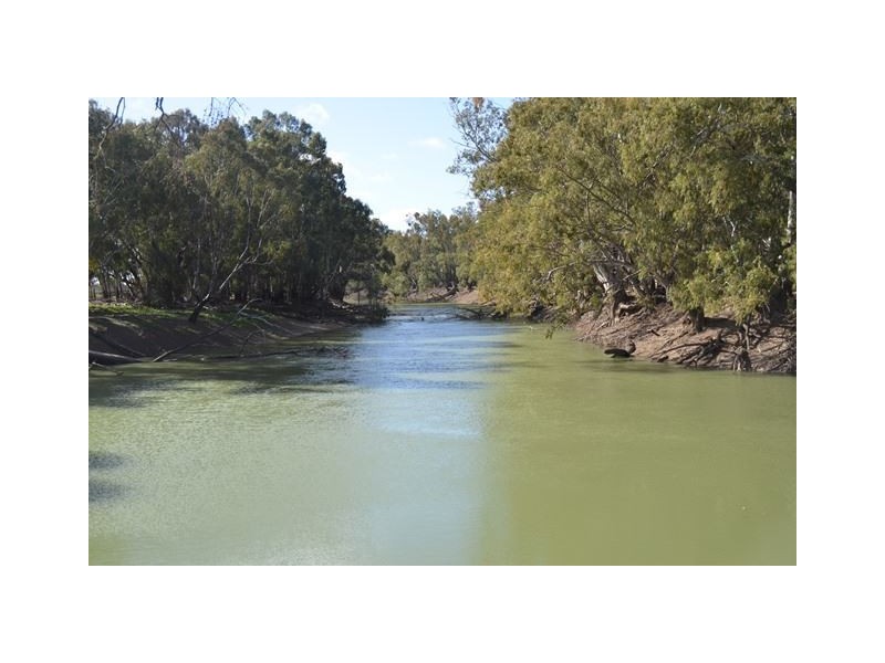 * Darragh, Balranald NSW 2715