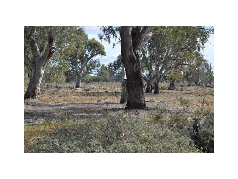 * Darragh, Balranald NSW 2715