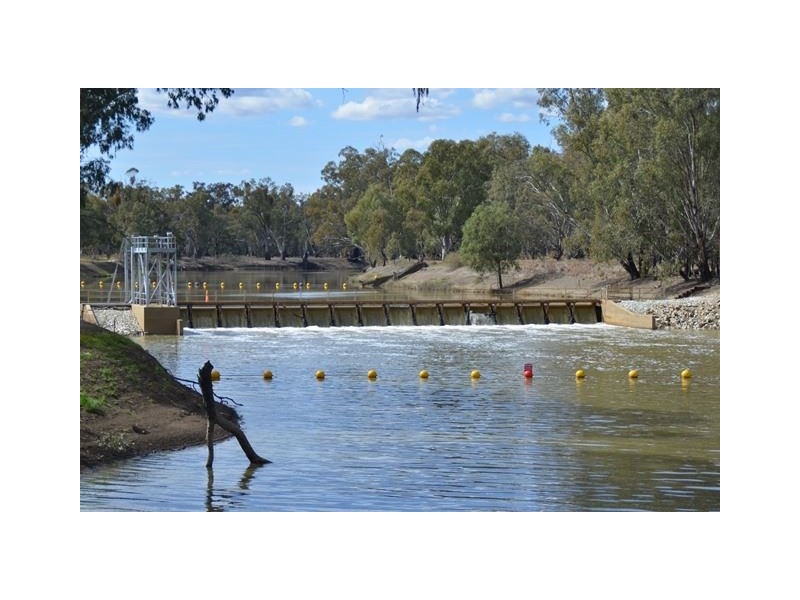 * Darragh, Balranald NSW 2715