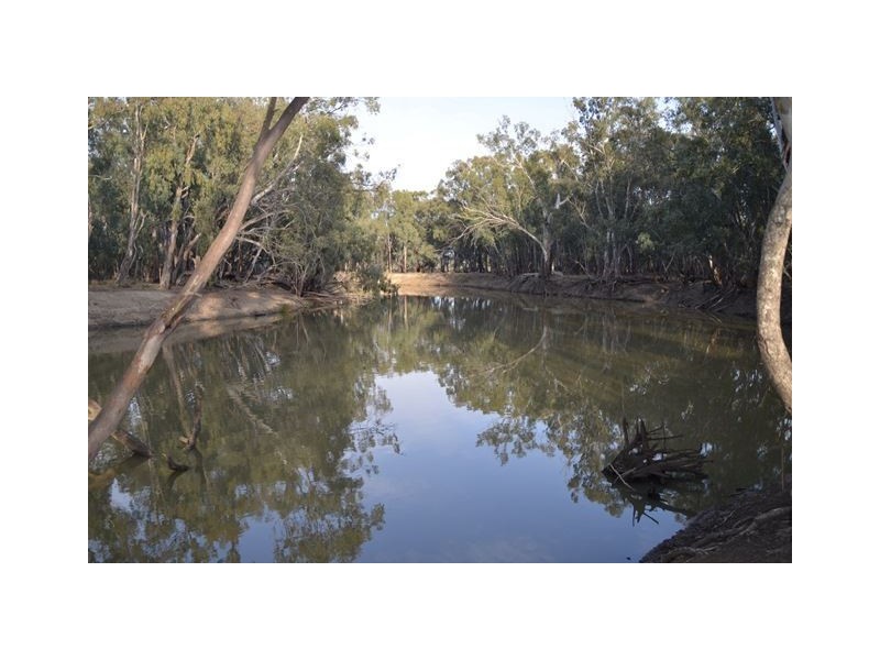 * Darragh, Balranald NSW 2715