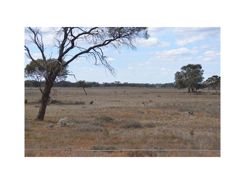 * Darragh, Balranald NSW 2715