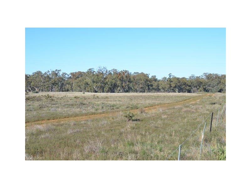 * Darragh, Balranald NSW 2715