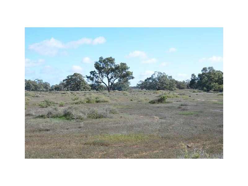 * Darragh, Balranald NSW 2715