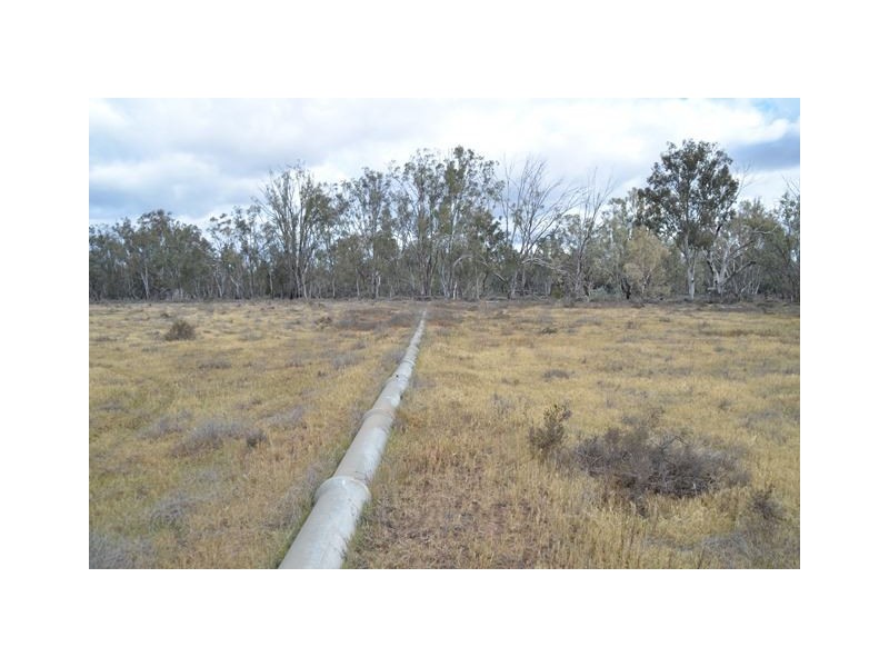 * Darragh, Balranald NSW 2715