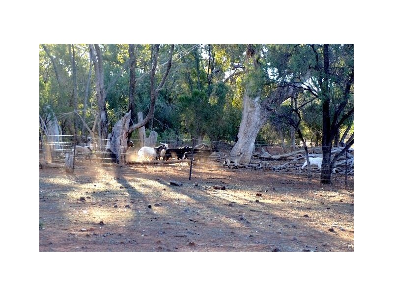 * The Top Block, Cobar NSW 2835