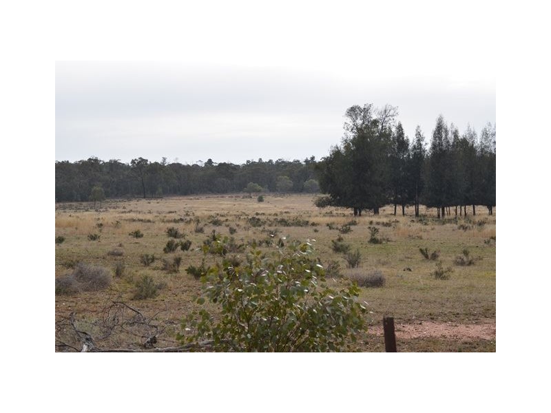 * The Additional, Tottenham NSW 2873