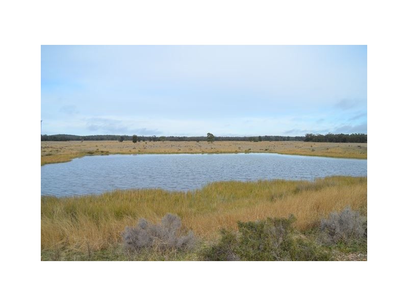 * The Additional, Tottenham NSW 2873