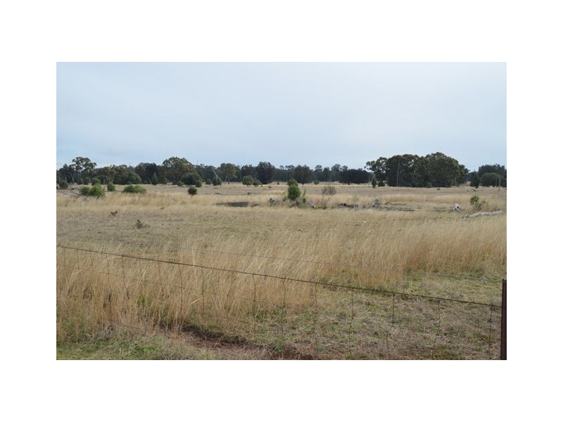 * The Additional, Tottenham NSW 2873