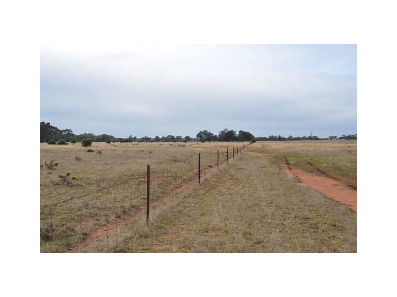 * The Additional, Tottenham NSW 2873