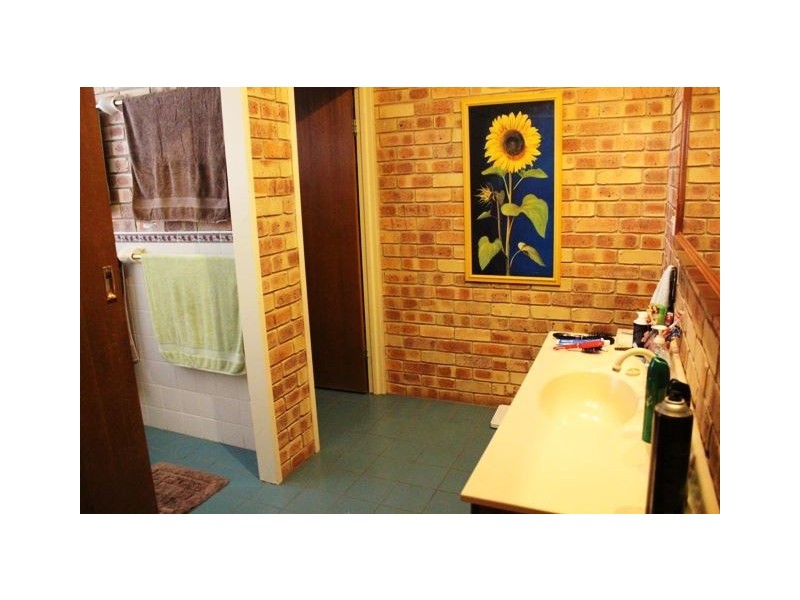 29 Jones Drive, Cobar NSW 2835