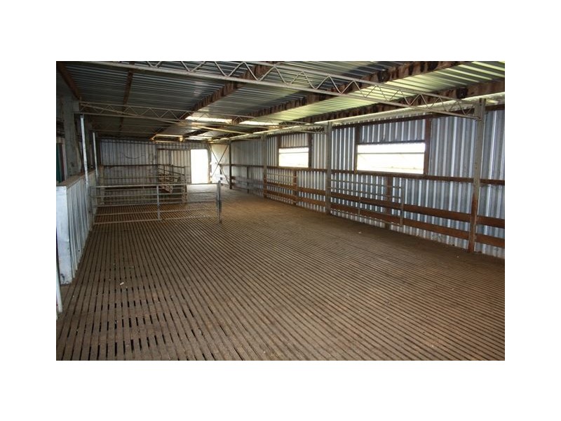 2755 Triamble Road, Mudgee NSW 2850