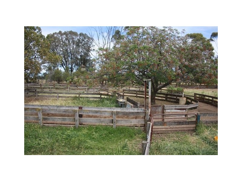 2755 Triamble Road, Mudgee NSW 2850