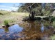2755 Triamble Road, Mudgee NSW 2850