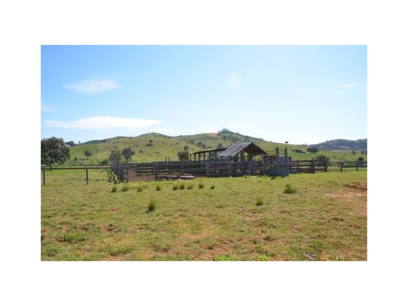 2755 Triamble Road, Mudgee NSW 2850