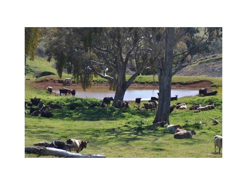 2755 Triamble Road, Mudgee NSW 2850