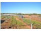 * Keelambara, Tilpa NSW 2840