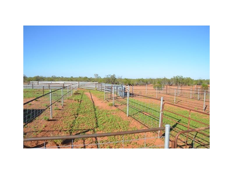 * Keelambara, Tilpa NSW 2840