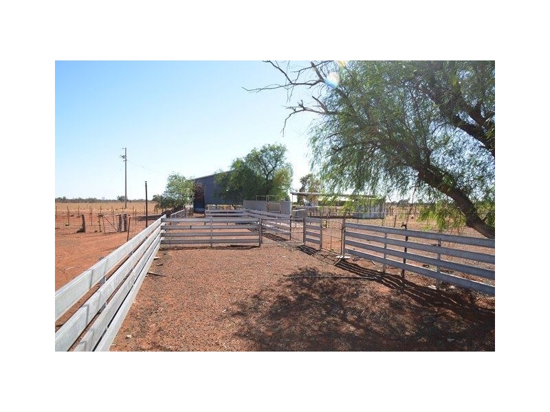 * Keelambara, Tilpa NSW 2840