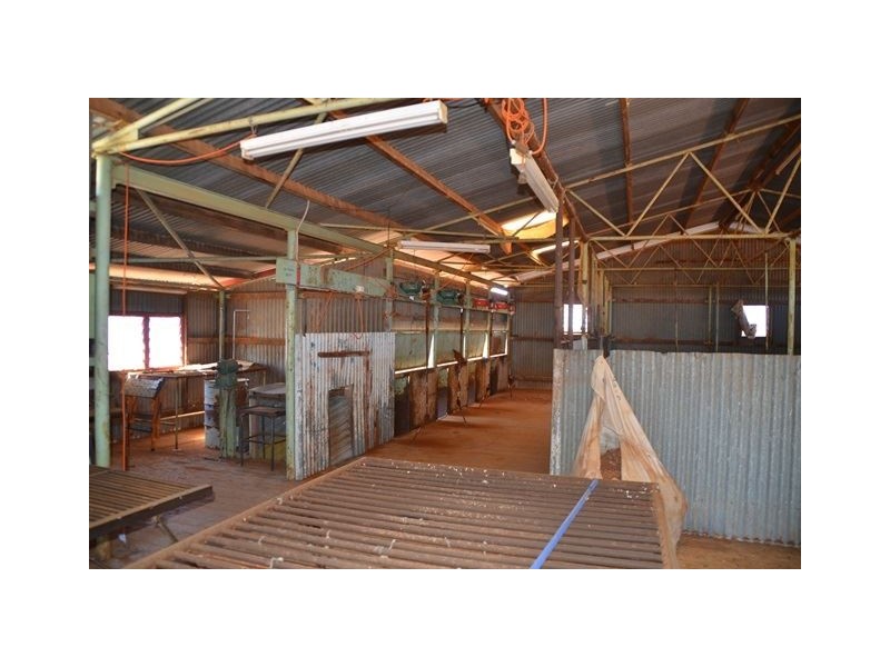 * Keelambara, Tilpa NSW 2840