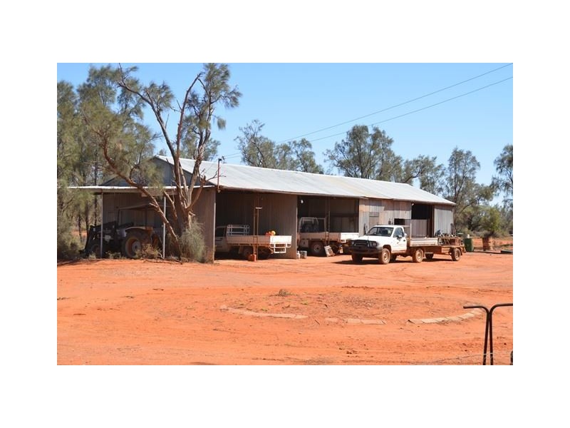 * Keelambara, Tilpa NSW 2840