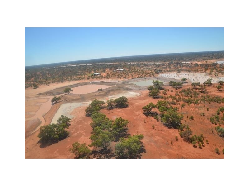 * Keelambara, Tilpa NSW 2840