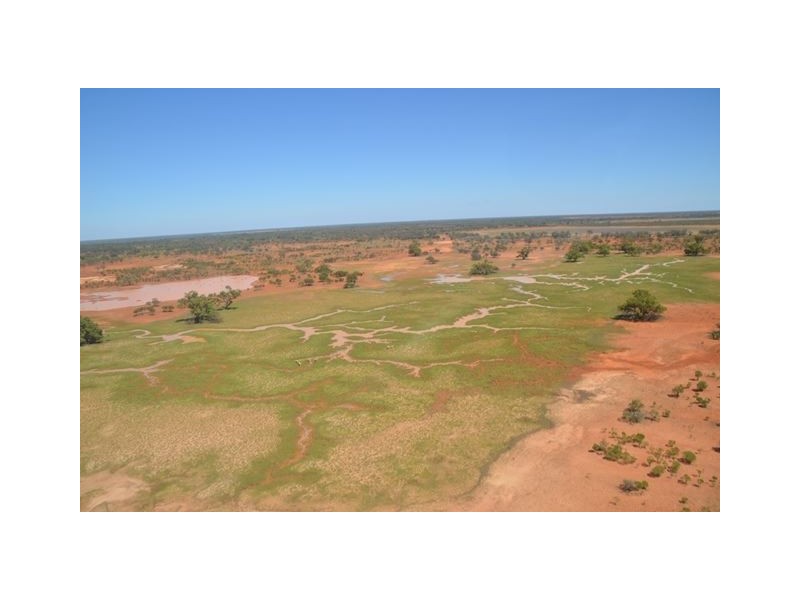 * Keelambara, Tilpa NSW 2840