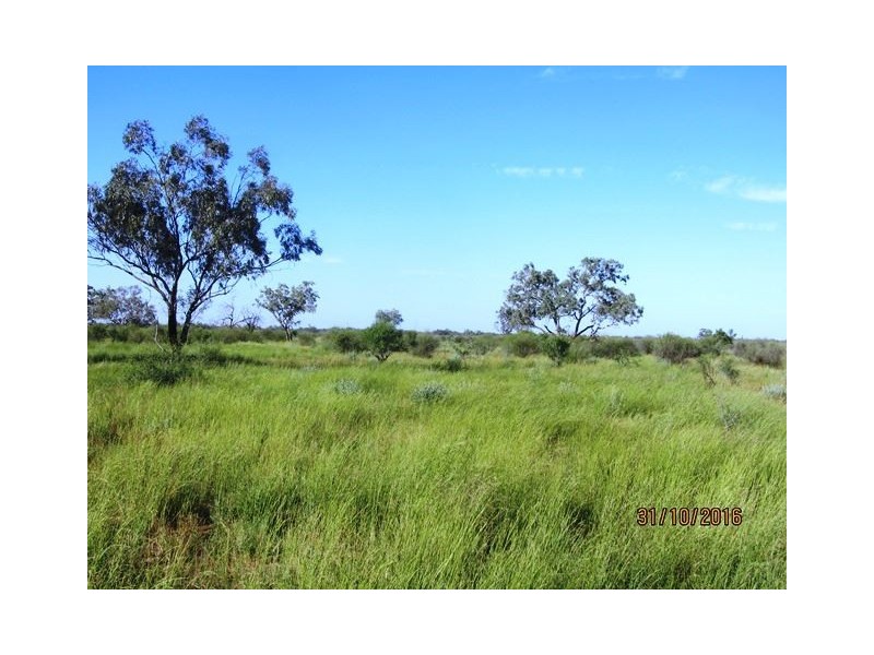 * Comeroo Station, Bourke NSW 2840
