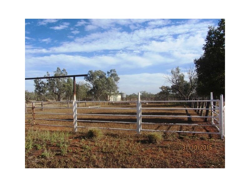 * Comeroo Station, Bourke NSW 2840