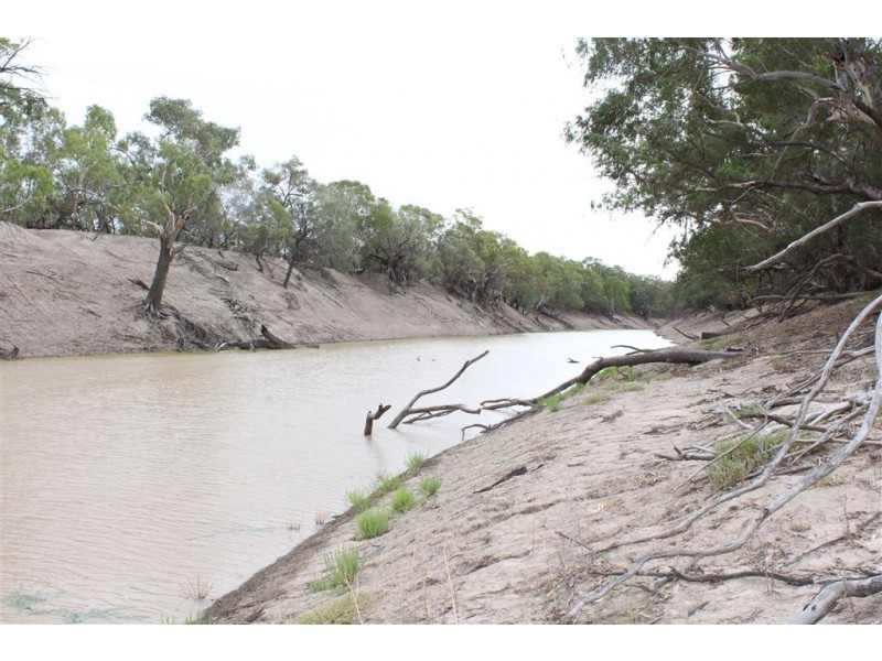 Gulla Paddock, Cobar NSW 2835