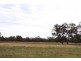 Gulla Paddock, Cobar NSW 2835